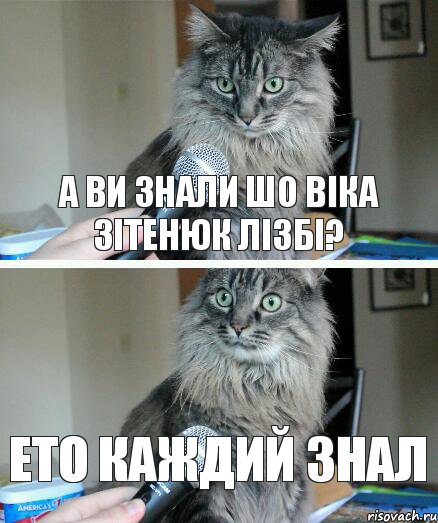 а ви знали шо віка зітенюк лізбі? ето каждий знал, Комикс  кот с микрофоном