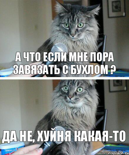 А что если мне пора завязать с бухлом ? Да не, хуйня какая-то, Комикс  кот с микрофоном