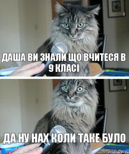 Даша ви знали що вчитеся в 9 класі да ну нах коли таке було, Комикс  кот с микрофоном