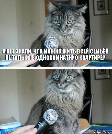 А вы знали, что можно жить всей семьёй не только в однокомнатнйо квартире? , Комикс  кот с микрофоном