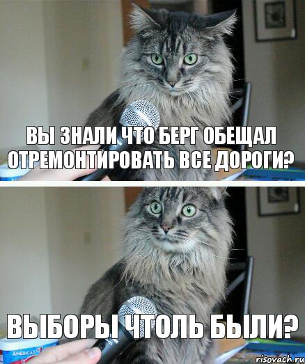 вы знали что берг обещал отремонтировать все дороги? выборы чтоль были?, Комикс  кот с микрофоном