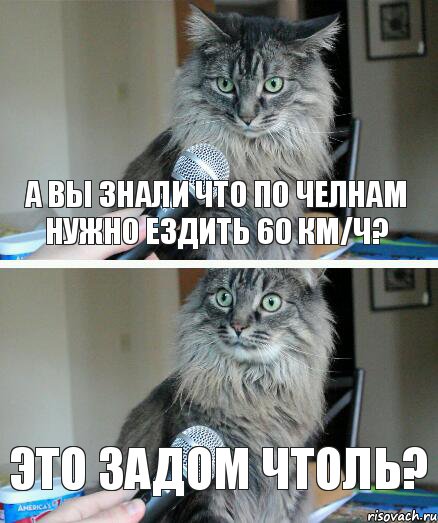 А вы знали что по Челнам нужно ездить 60 км/ч? Это задом чтоль?, Комикс  кот с микрофоном