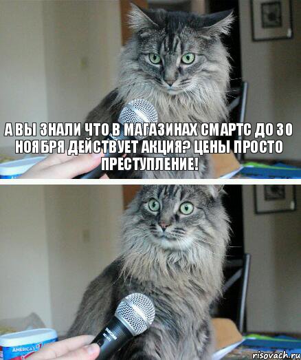 А вы знали что в магазинах Смартс до 30 ноября действует акция? Цены просто преступление! , Комикс  кот с микрофоном