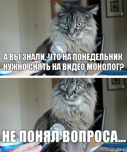 А вы знали, что на понедельник нужно снять на видео монолог? Не понял вопроса..., Комикс  кот с микрофоном