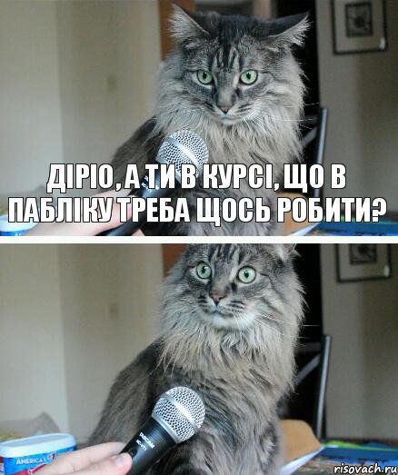 Діріо, а ти в курсі, що в пабліку треба щось робити? , Комикс  кот с микрофоном