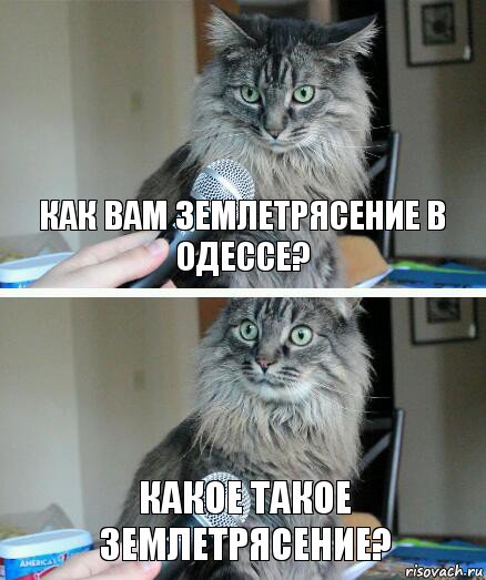 Как Вам землетрясение в Одессе? Какое такое землетрясение?, Комикс  кот с микрофоном