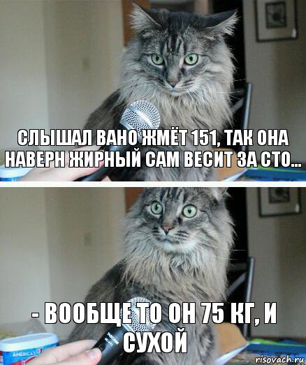 Слышал Вано жмёт 151, так она наверн жирный сам весит за сто... - Вообще то он 75 кг, и сухой, Комикс  кот с микрофоном