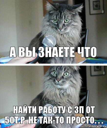 А Вы знаете что Найти работу с зп от 50т.р. не так-то просто. . ., Комикс  кот с микрофоном