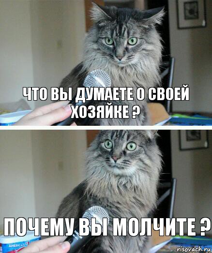 Что Вы думаете о своей хозяйке ? Почему Вы молчите ?, Комикс  кот с микрофоном