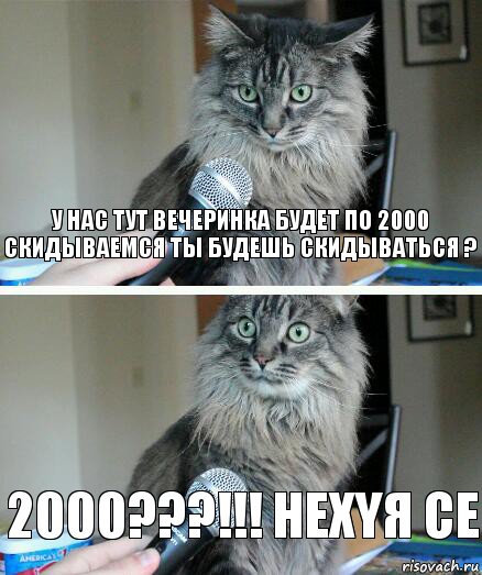 У нас тут вечеринка будет по 2000 скидываемся ты будешь скидываться ? 2000???!!! НехYЯ се, Комикс  кот с микрофоном