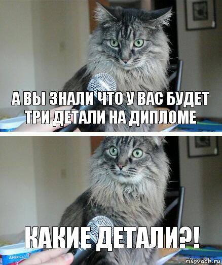 а Вы знали что у Вас будет три детали на дипломе какие детали?!, Комикс  кот с микрофоном