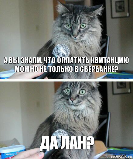 А вы знали, что оплатить квитанцию можно не только в Сбербанке? Да лан?, Комикс  кот с микрофоном