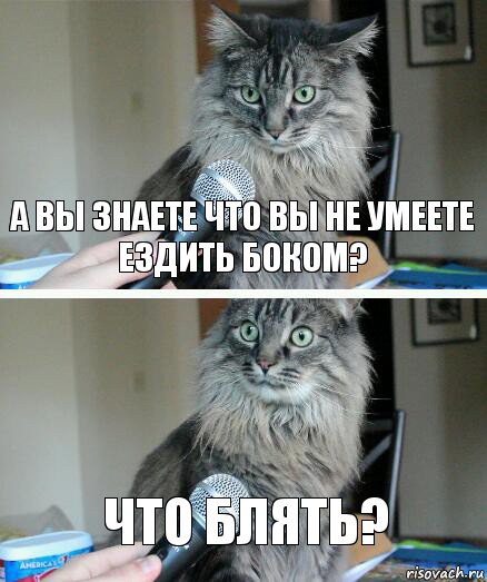 А вы знаете что вы не умеете ездить боком? Что блять?, Комикс  кот с микрофоном