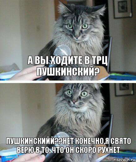 а вы ходите в трц пушкинский? пушкинскийй??нет конечно,я свято верю в то, что он скоро рухнет, Комикс  кот с микрофоном