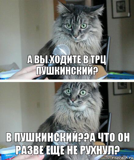 а вы ходите в трц пушкинский? в пушкинский??а что он разве еще не рухнул?, Комикс  кот с микрофоном