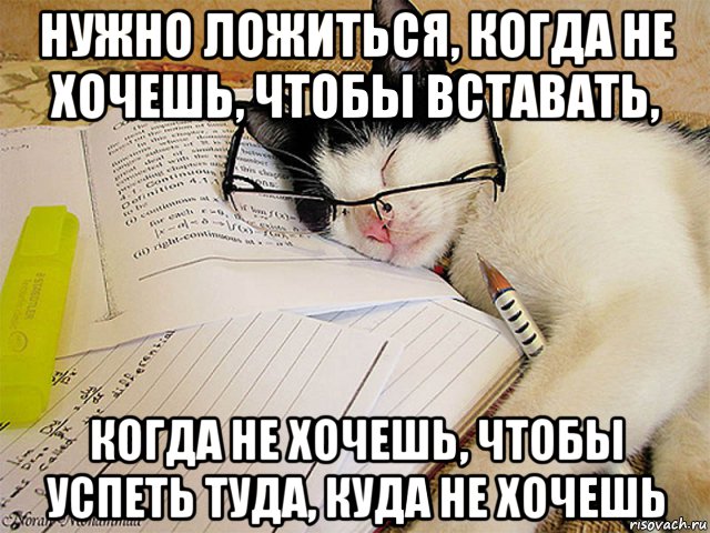 Разговор закончиться. Надо полежать. Мем не хочу вставать. Когда вставать не хочешь. Кот студент Мем.