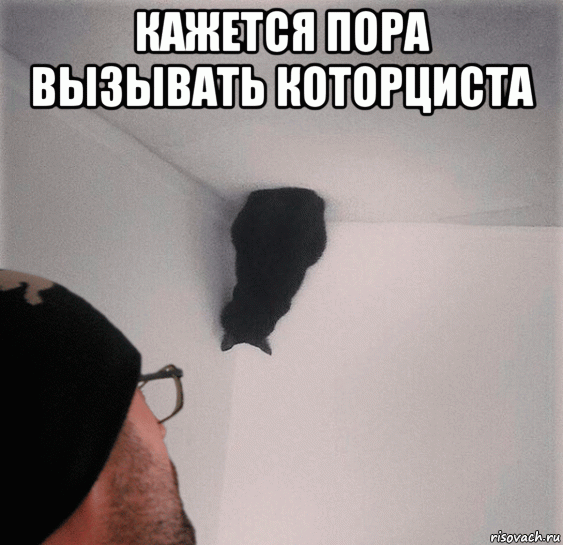 Пора пора вызывать