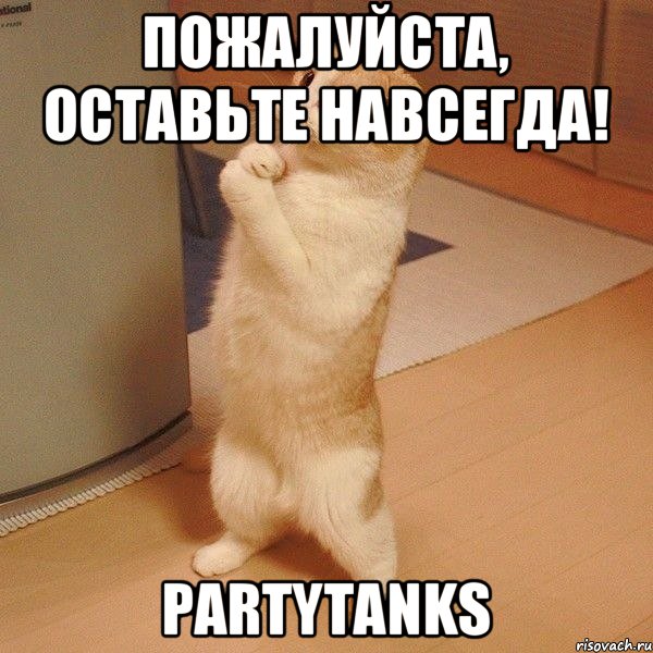 Пожалуйста, оставьте навсегда! PartyTanks, Мем  котэ молится