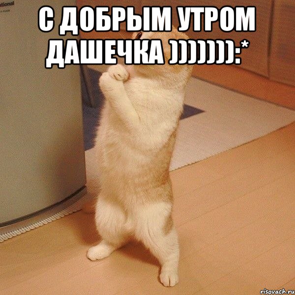 С добрым утром дашечка ))))))):* , Мем  котэ молится