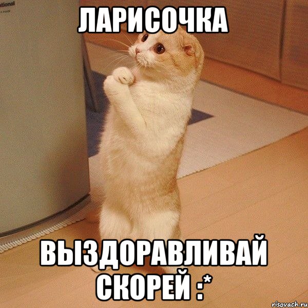 Ларисочка Выздоравливай скорей :*, Мем  котэ молится