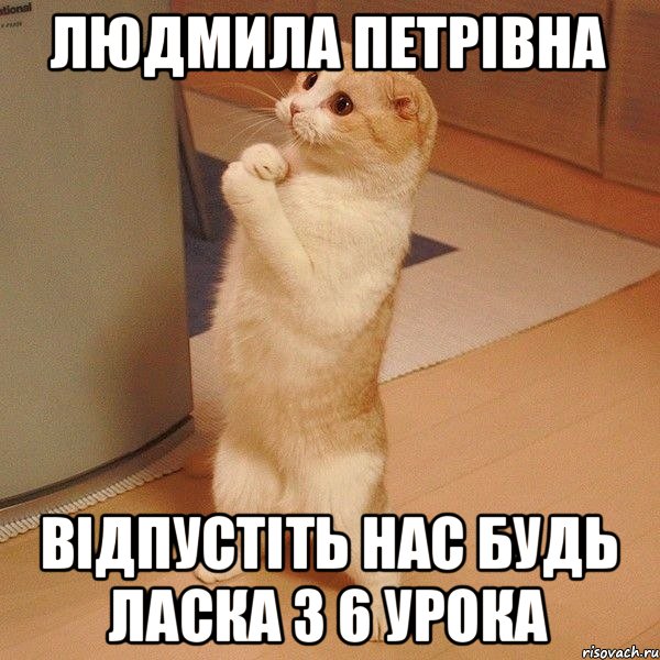 Людмила Петрівна відпустіть нас будь ласка з 6 урока, Мем  котэ молится