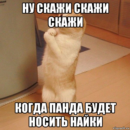 Ну скажи