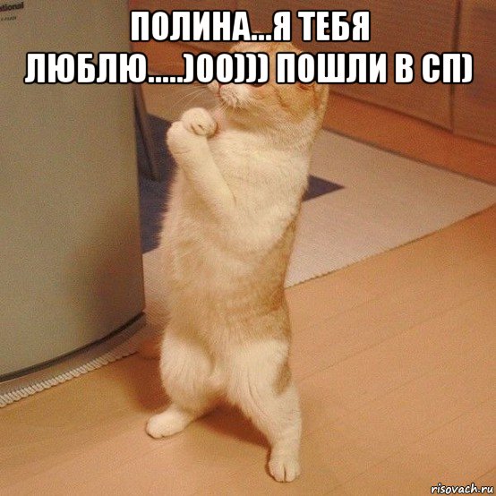 полина...я тебя люблю.....)00))) пошли в сп) , Мем  котэ молится