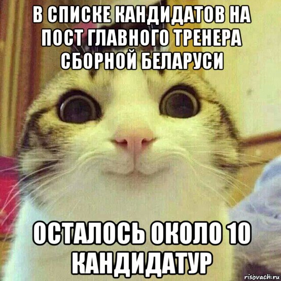 в списке кандидатов на пост главного тренера сборной беларуси осталось около 10 кандидатур, Мем       Котяка-улыбака