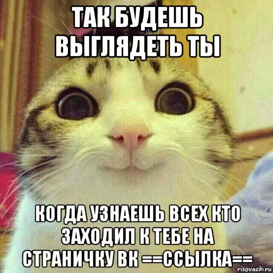 так будешь выглядеть ты когда узнаешь всех кто заходил к тебе на страничку вк ==ссылка==, Мем       Котяка-улыбака