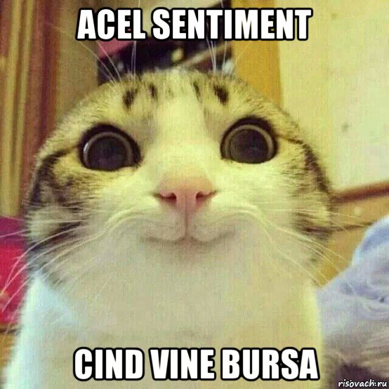 acel sentiment cind vine bursa, Мем       Котяка-улыбака