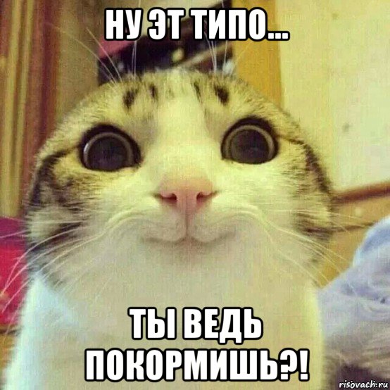 ну эт типо... ты ведь покормишь?!, Мем       Котяка-улыбака