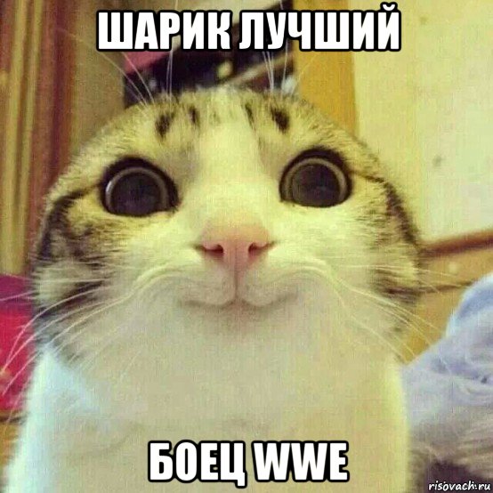 шарик лучший боец wwe, Мем       Котяка-улыбака