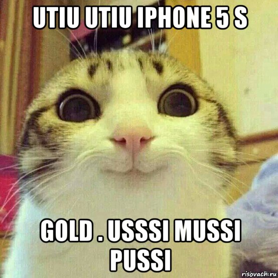 utiu utiu iphone 5 s gold . usssi mussi pussi, Мем       Котяка-улыбака