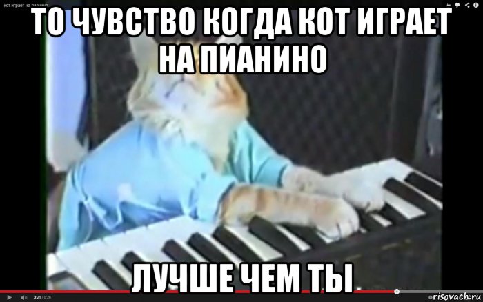 Пианино мемы играть. Мемы про пианино. Играет на пианино Мем. Кот на фортепиано. Кот на рояле Мем.