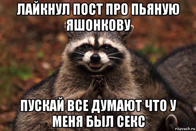 лайкнул пост про пьяную яшонкову пускай все думают что у меня был секс, Мем  Хитрый енот