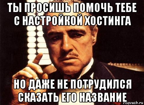 ты просишь помочь тебе с настройкой хостинга но даже не потрудился сказать его название, Мем крестный отец