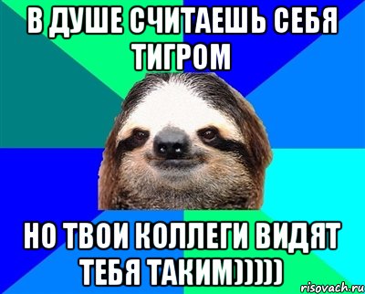 В душе считаешь себя тигром но твои коллеги видят тебя таким))))), Мем Ленивец