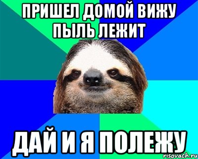 Домой видишь. Ленивец Мем. Пыль лежит и я полежу картинка. Пришла домой вижу пыль лежит. Вижу пыль лежит дай думаю и я полежу.