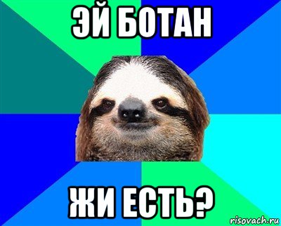 эй ботан жи есть?