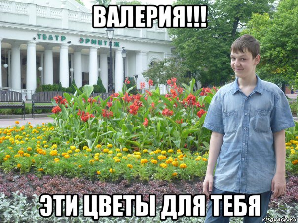 Фото тупой леры