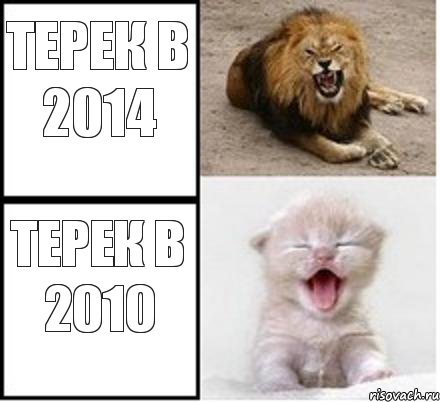 Терек в 2014 Терек в 2010, Комикс Лев и котенок