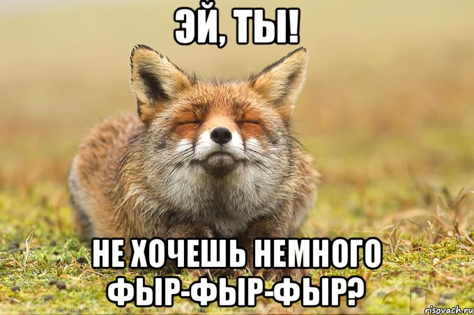 Эй, ты! Не хочешь немного ФЫР-ФЫР-ФЫР?