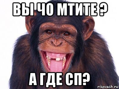 вы чо мтите ? а где сп?, Мем мавпа