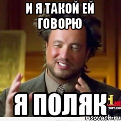 Дай я посигналю мем поляки