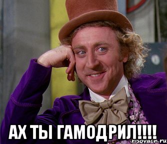  Ах ты гамодрил!!!!, Мем мое лицо