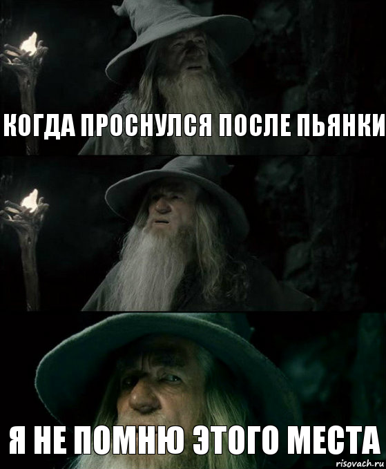 Кто написал после. Гэндальф заблудился. Гэндальф я не помню этого места. Я не помню этого места. Я не помню этого места Мем.