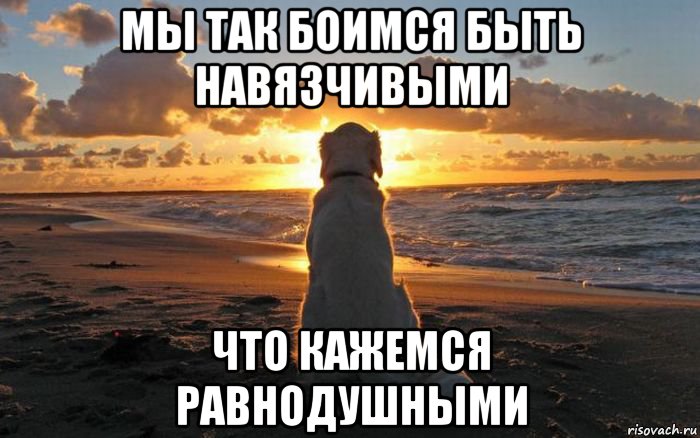 Не хочу навязываться мужчине картинки