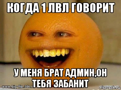 когда 1 лвл говорит у меня брат админ,он тебя забанит, Мем Надоедливый апельсин