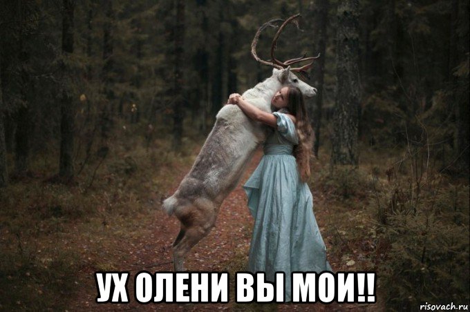  ух олени вы мои!!