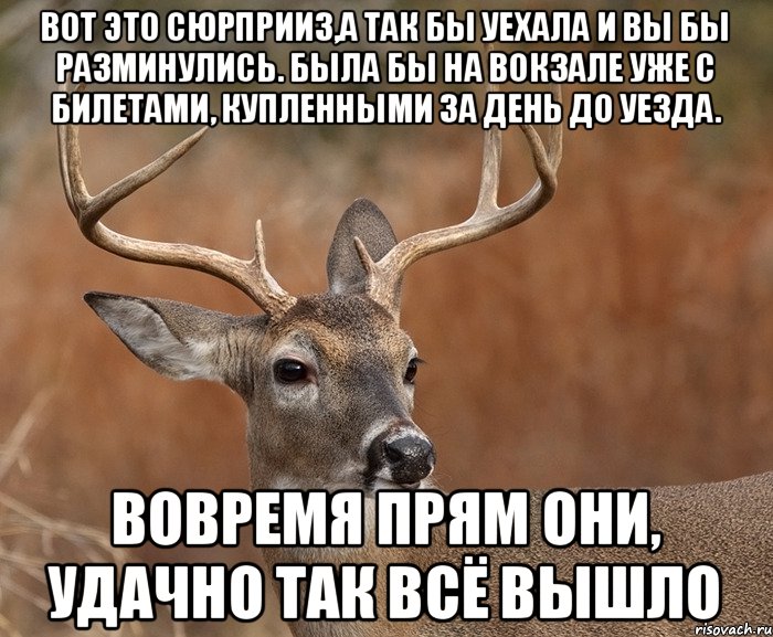 вот это сюрприиз,а так бы уехала и вы бы разминулись. Была бы на вокзале уже с билетами, купленными за день до уезда. вовремя прям они, удачно так всё вышло